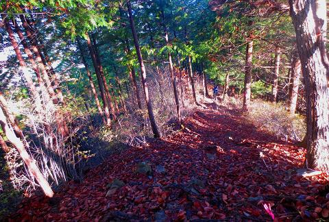 浮橋渡って三頭山♪