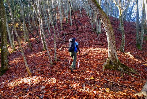 浮橋渡って三頭山♪