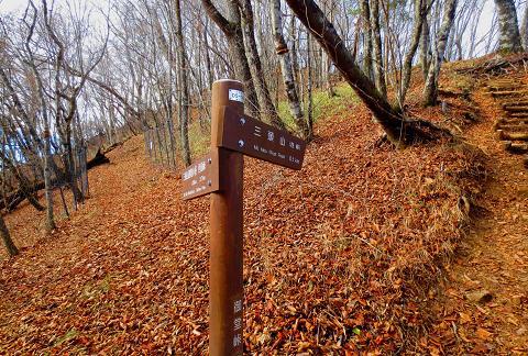 浮橋渡って三頭山♪