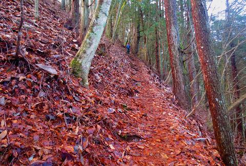 浮橋渡って三頭山♪