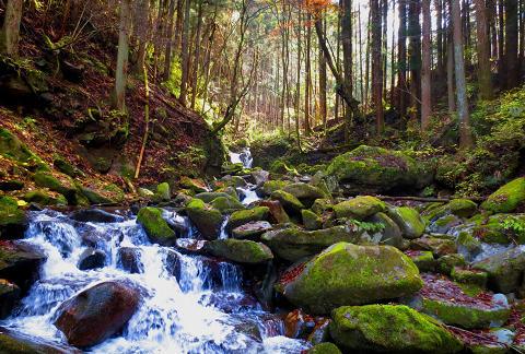 浮橋渡って三頭山♪