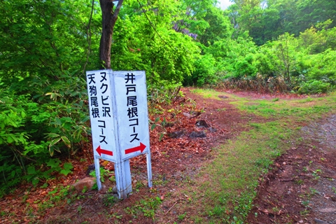 残雪のコントラスト♪　巻機山♪