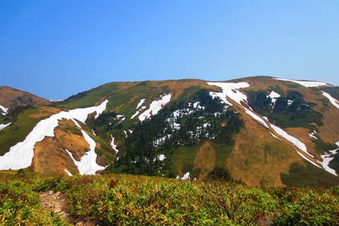 残雪のコントラスト♪　巻機山♪