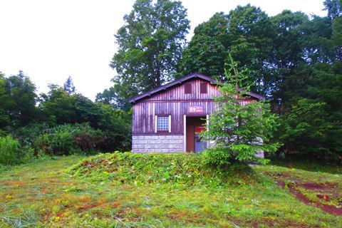 お花と高層湿原♪　苗場山♪