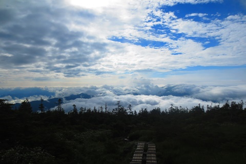 お花と高層湿原♪　苗場山♪