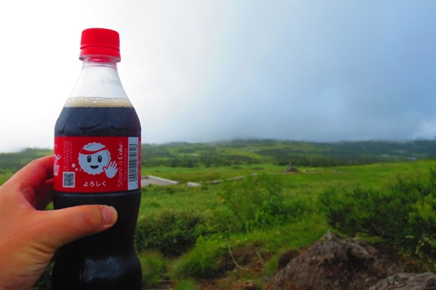 お花と高層湿原♪　苗場山♪