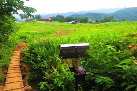 お花と高層湿原♪　苗場山♪