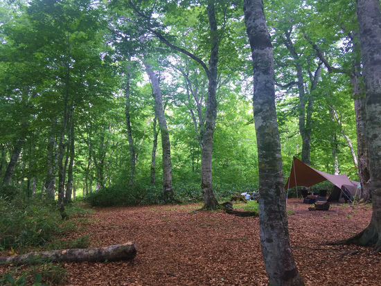 キャンプへ行きたい 奥利根水源の森キャンプ場に行ってきたよ18