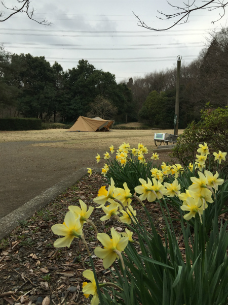 また智光山(´･ω･`)