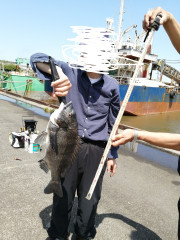 2022.04.22　市原から木更津　フカセ釣り　黒鯛を釣りました。