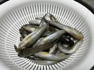 黒鯛を釣ったことのないヘチ師の日常 21 10 30 今年7回目のハゼ釣り 牛込海岸