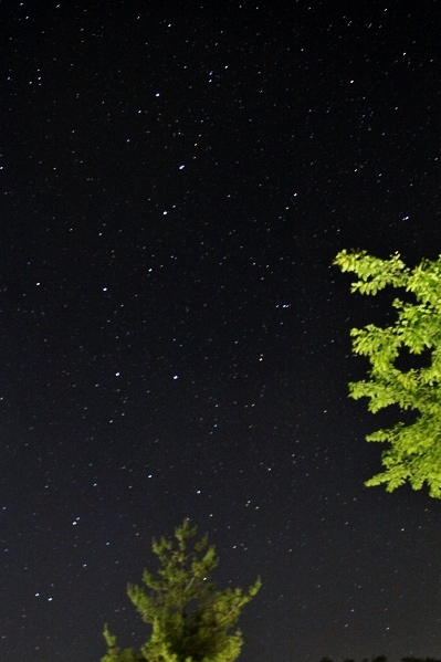 夜空がきれいです＾＾
