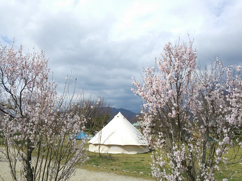 グリーンパーク山東 4月2日～3日