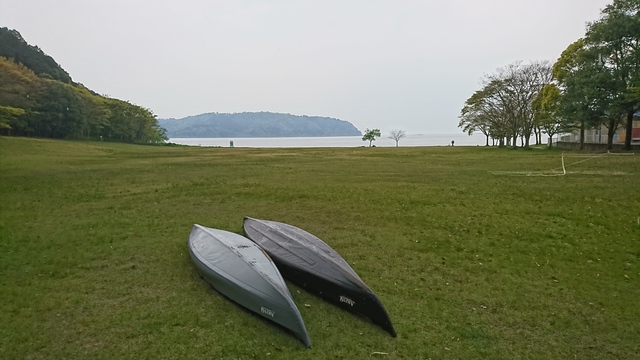 いや、降ってきたんですけど…