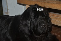 ⑧ 2015秋 北海道ツー