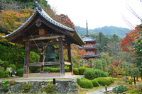 ④京都遠征（宇治）
