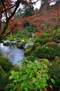 ④京都遠征（宇治）