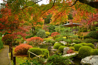 ④京都遠征（宇治）