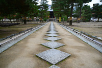 ④京都遠征（宇治）