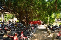 ⑤Siem Reap