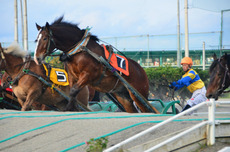 総括 9月北海道ツー？