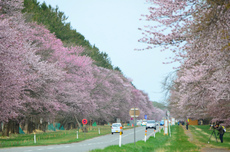 ⑤ 運転手付 北海道 2017/05/09 23:27:40
