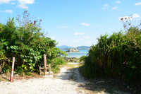 10日目　八重山へ