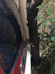 納車