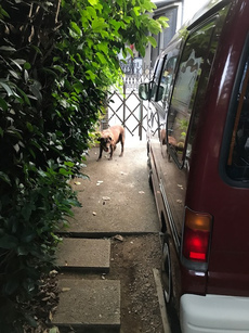 納車