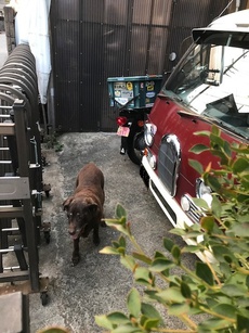 納車