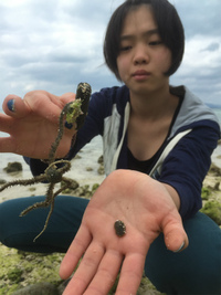 ９日目　八重山へ
