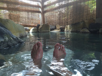 ④　6月北海道ツー