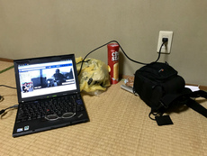 ②試運転、何処まで？