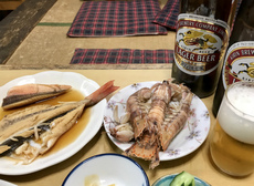 ③試運転、何処まで？