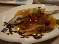 ⑧ 2015秋 北海道ツー
