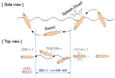 テクニック・考察 ： トップルアーのアクション（ダイビング）
