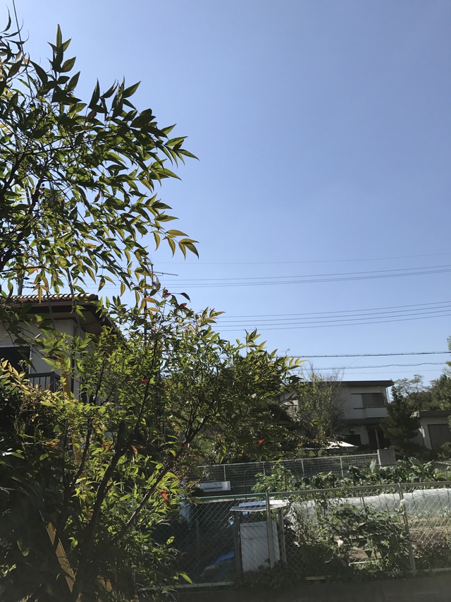 シロクマさん長い眠りからお目覚め