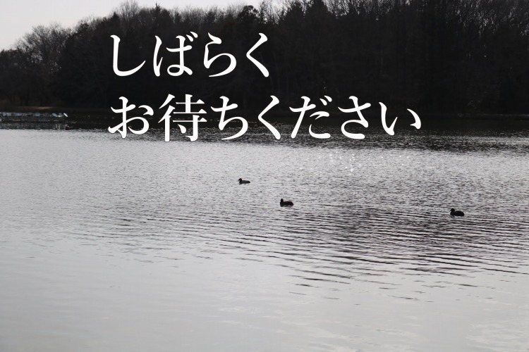 【リベンジ】上野沼やすらぎの里キャンプ場