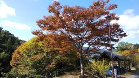 キャンプレポ【３３】広島県　真道山森林公園キャンプ場　第５話