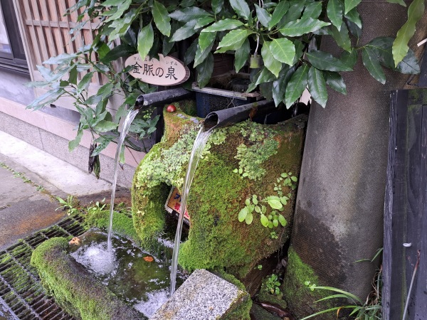 くまりん★家 旅行記「熊本県 阿蘇山編」その⑫ くまりん★家 旅行記「熊本県 阿蘇山編」その⑫