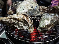 味噌オフで牡蠣を堪能 2015/02/08 17:48:51