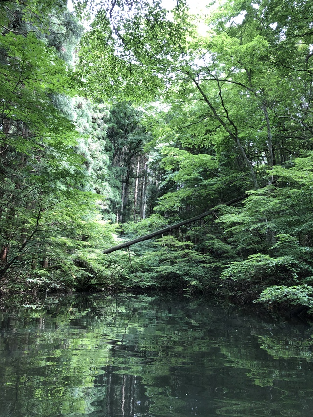 長老湖カヤック