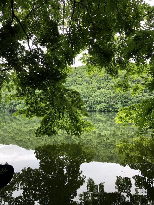 長老湖カヤック