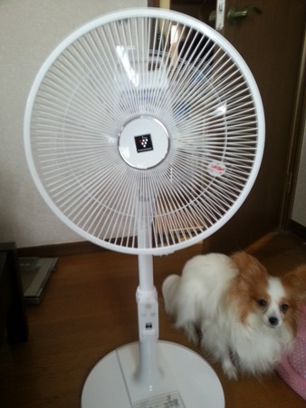 ウチに来た家電③♪