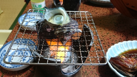 伊豆トレッキングツアー　1日目♪