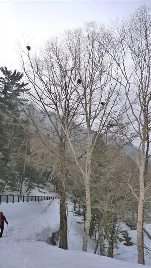 上高地で雪上キャンプ～♪　②