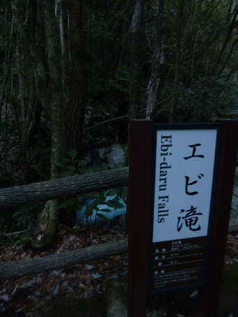 河津桜と七滝
