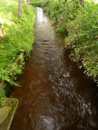 遠野　河童淵