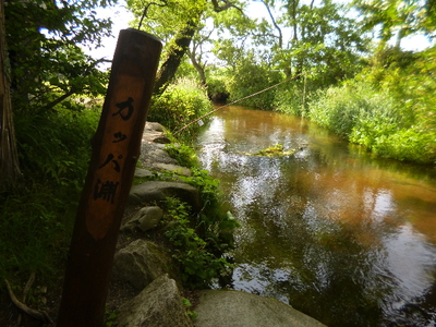 遠野　河童淵