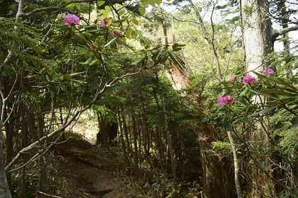 皇海山